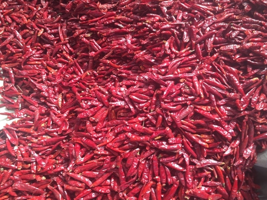 BRC Certificate Dried Red Chilli Peppers 10000-90000shu Pungent Flavor