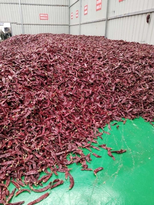 Grade A Dried Guajillo Chili Whole / Stick Impurity 0.3% Max Grade 10-15cm