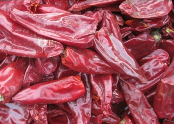8000 SHU Natural Yidu Chili Red Pepper Beijinghong Jinta Chilli