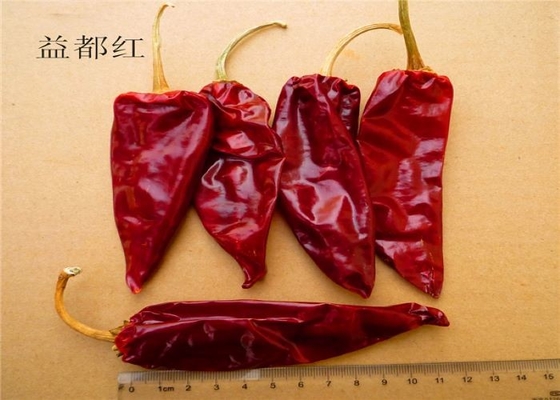 Organic Yidu Chilli Red Pepper Beijinghong Jinta Chilli 10 Cm 12% Moisture