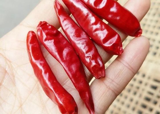 Tien Tsin Dried Red Chilli Peppers For Szechuan Style Cooking Kung Pao Ingredient