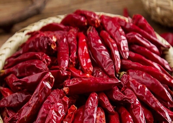 Tianjin Tien Tsin Dried Red Chilli Peppers For Cooking Ingredient