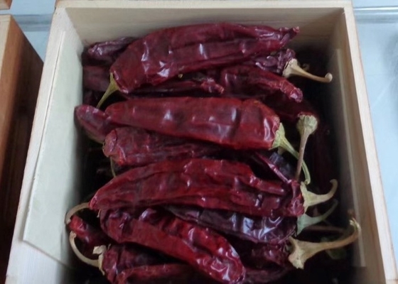 Smooth Dried Guajillo Chili 500SHU Leathery 0.3% Max With/Without Stem