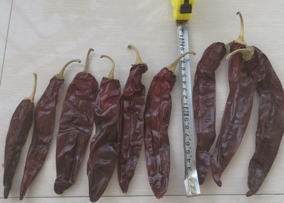 New Crop 220 ASTA Paprika Sweet Red Pepper Pungent Guajillo Chili Peppers 12-18 Cm
