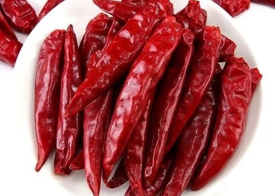 HALAL Dried Sanying Chili New Generation Chili For Hot Pot