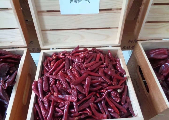 Smooth Texture Natural Red Dried Sweet Chili Peppers For Cooking