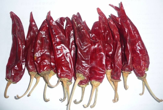 10-15cm Dried Guajillo Chili Grade A Red Paprika Pods