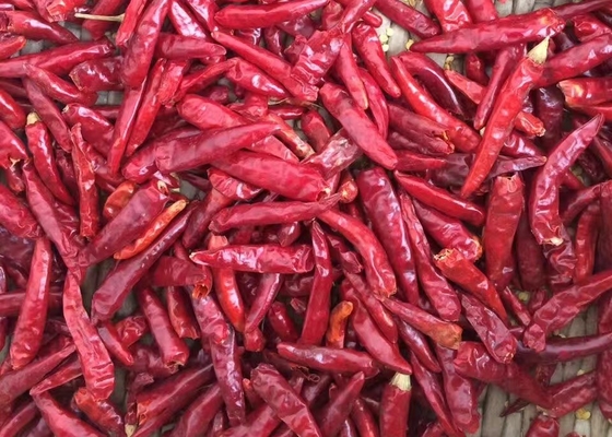 Halal Approved S4 Replacement New Generation Dried Red Chilli Peppers 50000SHU