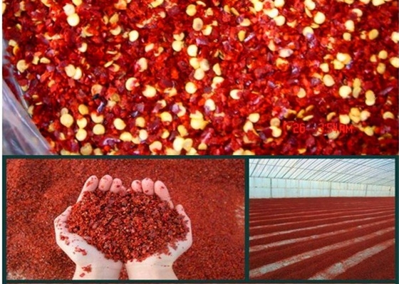 Double Plastic Bags Inner Packing Ground Red Pepper with Bold Flavor Profile