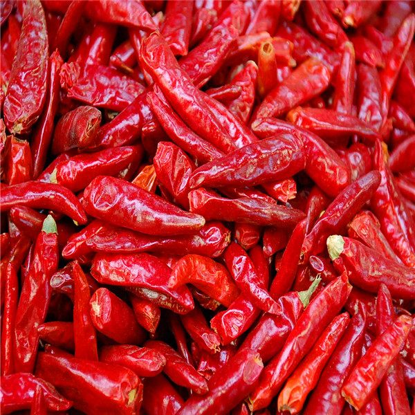 Whole Dried Red Chili Peppers with Stemless Ingredients Add Some Spice to Your Meals