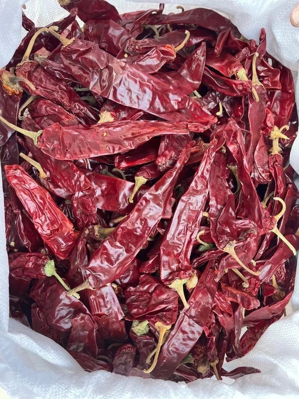 Spicy Dried Yidu Red Chili Peppers Dry Cool Place