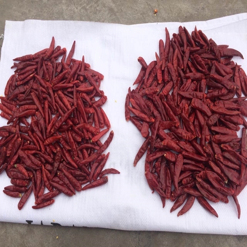 100g Tianjin Dried Red Chilies Spicy Room Temperature