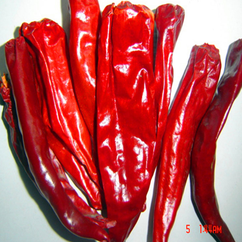 Hot Pot / Sichuan Cuisine Must-Have Dried Red Chilli Peppers With Strong Pungent Flavor