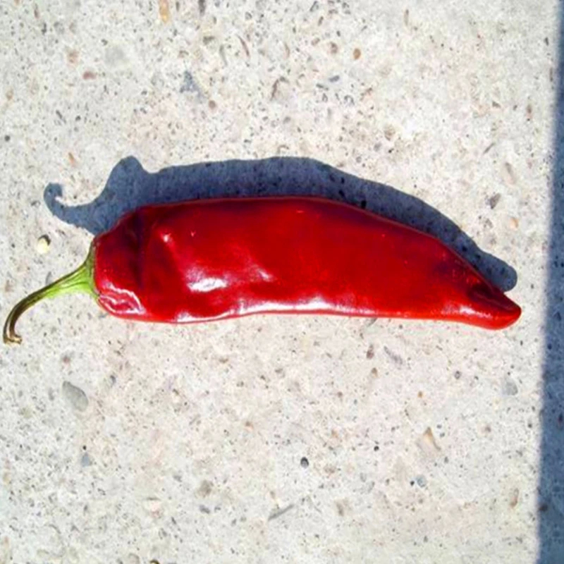 Bold Paprika With Intense Chili Flavor Rich Red Color And 8-12% Moisture