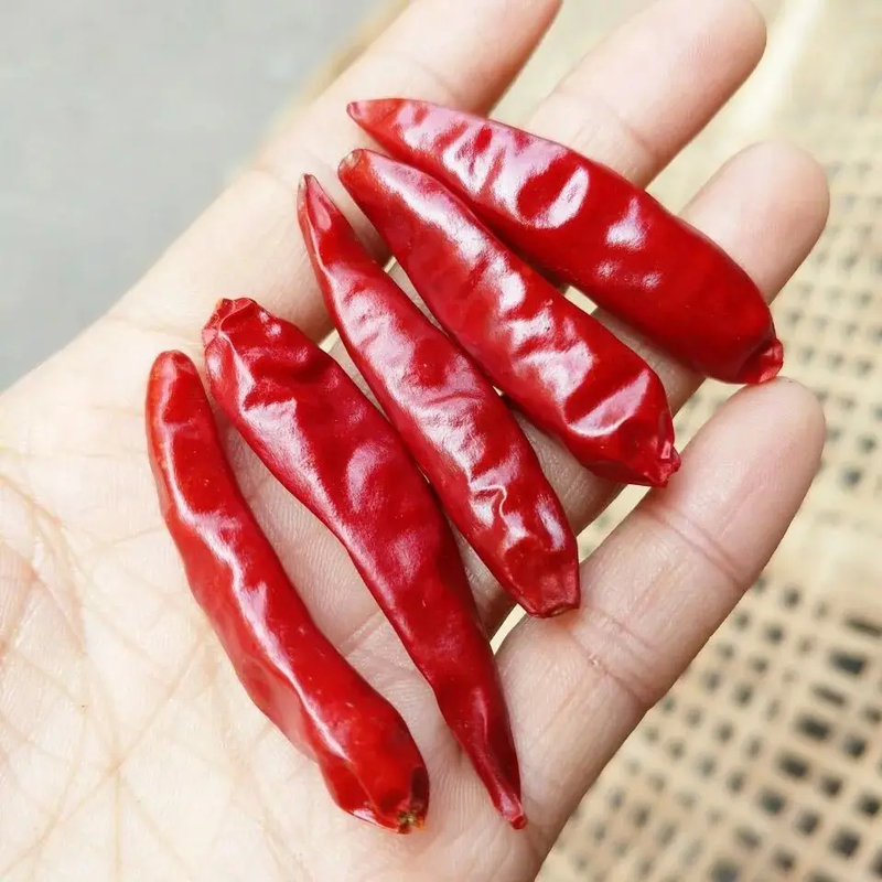 Dried Whole Red Chilies / Dried Asian Chili Peppers Fiery Spice For Culinary Adventures