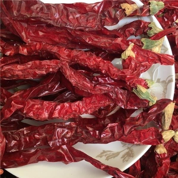 Experience the Heat of Dried Chili Peppers Strong Pungent Chilli Flavor for Cool And Dry Storage