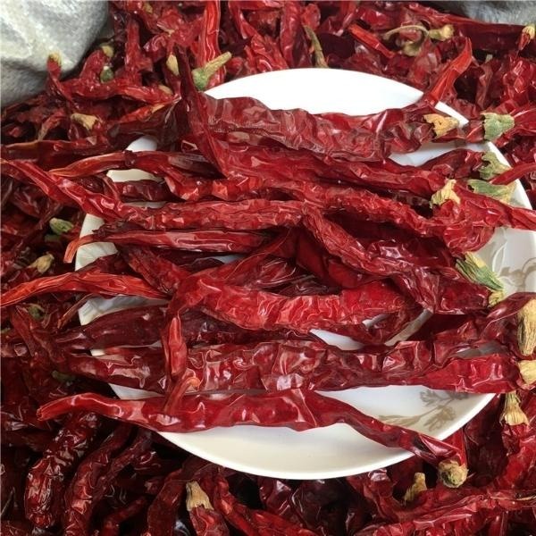 Experience the Heat of Dried Red Chilli Peppers for Hot Pot and Sichuan Cuisine Moisture 12%max
