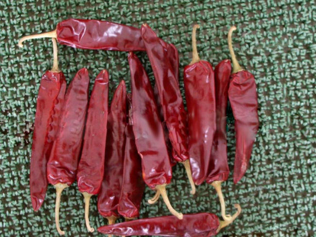 15000shu Dried Guajillo Chili Red Jinta Chilli Premium Taste
