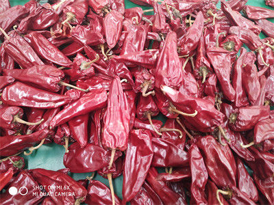 8000 SHU Yidu Chili Pungent Chilli Flavor Beijinghong Jinta Chilli