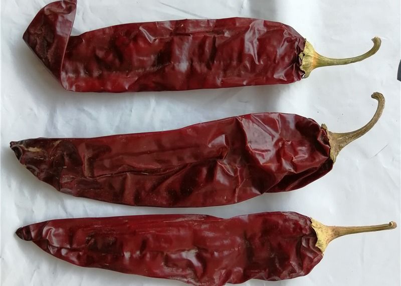 1 Year Shelf Life Sweet Paprika Pepper Dried Red Chilli Additive For High Quality Food Ingredient