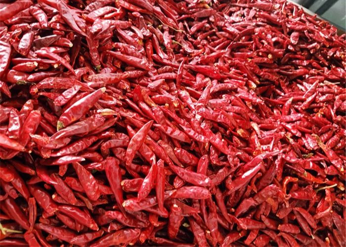 Chaotian Dried Red Chilli Peppers 1% Yellowish Pungent Whole Dry Chilli