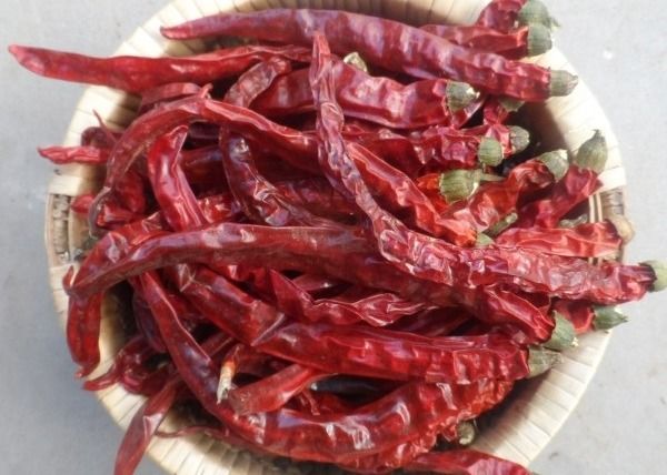 Seasoning Dried Red Chilli Peppers For All The Spice Importer 4-7 Cm