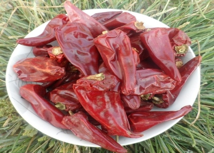 HACCP 200g Yidu Chili Ingredients 7 - 15cm Pungent Chilli Flavor
