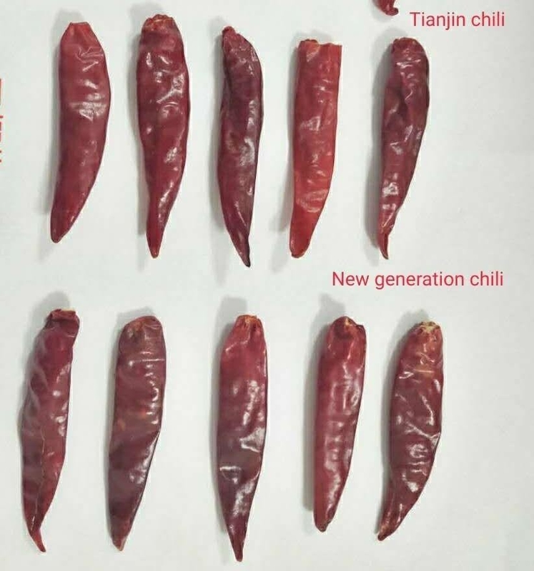 20,000 SHU Dried Chaotian / Sanying Chilli For Cuisine Cooking