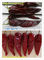 Stemless Yidu Chili 10cm-15cm Red Jinta Chilli Pepper
