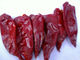 Yidu Dried Red Chile Peppers Food Condiment 9CM Chile Pods For Pozole