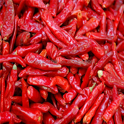Zero Addition Small Red Dried Chillies Premium 10KG Tianjin Peppers
