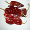 5000SHU Mild Dried Chilies Stemmed Grade A Dried Red Chile Pods