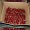 XingLong Dried Red Bell Peppers 8% Moisture Claw Dried Chilli Pepper
