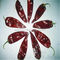 XingLong Dried Paprika Peppers 16CM Dehydrated Red Chili Pods
