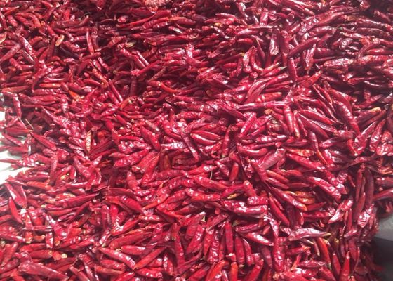 Chaotian Dried Chilli Pepper Sterilized Whole Dried Chillies 20Kg