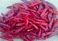 Seasoning Facing Heaven Chillies 4cm Chinese Dried Chili Peppers