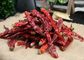 SHU10000 Xian Chilli Pungent Flavor Dried Red Chile Pods 10 PPB