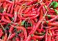 16CM Erjingtiao Dried Chilis No Pigment 8000SHU Whole Dried Red Chili Peppers