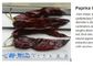 SHU500 Dried Paprika Peppers Grade A Whole Chilli Pods Sweet Flavor