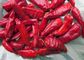 Sundried Facing Heaven Chilli 3CM Hot Pot Chaotian Chilli Spicy Fragrance