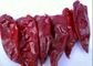 Raw Yidu Chili Zero Additive 2000 Scoville Long Dry Red Chilli