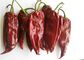 Dried Long Red Chillies Sweet Organic Guajillo Peppers 10cm Length