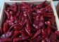 KOSHER Pepper Chile De Arbol 25KG Spicy Dried Chiles 40mm Length