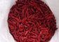 12% Moisture 4-7cm Dried Birds Eye Chilli Whole Chaotian Red Chilies