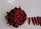 High Pungency Raw Tianjin Red Chilies Chinese Dried Red Chili Peppers