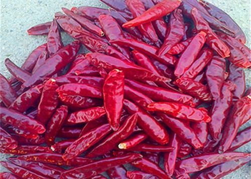 Stemless AD Dried Birds Eye Chilli 20000SHU Red Chilli Peppers