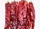 AD Dried Xian Chilli 20CM Whole Dried Chillies Non Irradiated