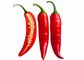 50000SHU Dried Chilli Seeds Granule Dry Red Chilli Seeds For Planting