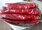 Non Irradiated Mild Dried Red Chilli Peppers 4-7 Cm Steamed Moisture Less Than 11%
