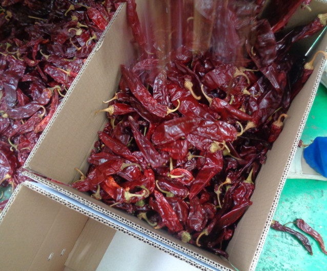 HACCP Dried Paprika Peppers 16 Moisture Sweet Dehydrating Chillies